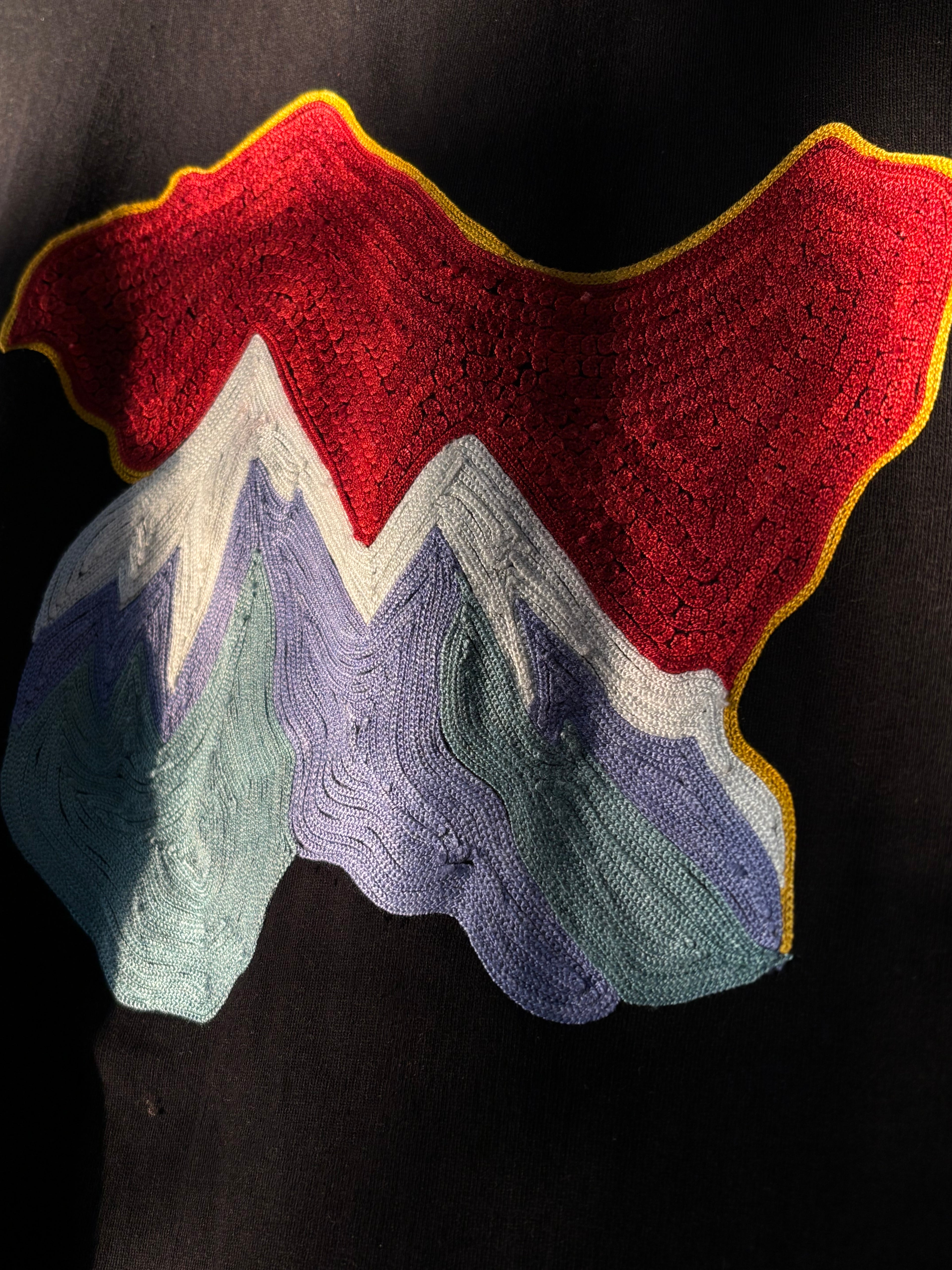 Ari Thread Work Chinar/Kashmir Motif T-shirt