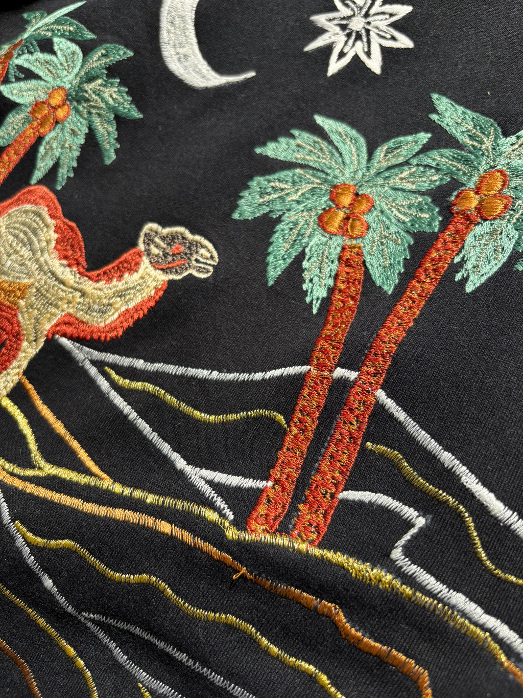 Arabian Night Inspired Silk Thread Embroidered Hoodie