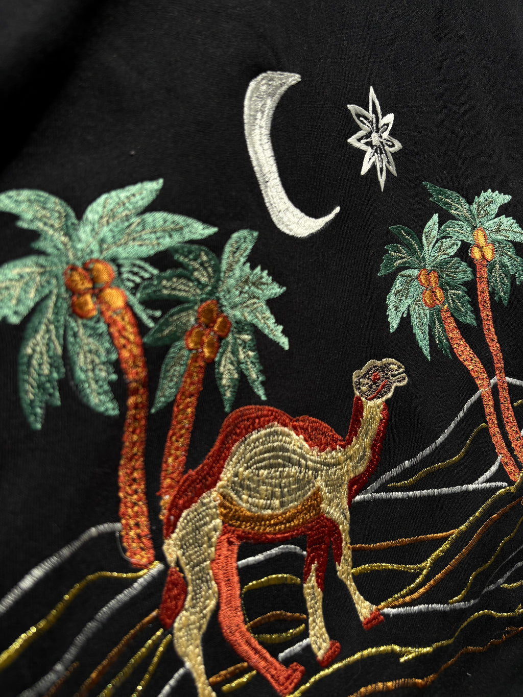 Arabian Night Inspired Silk Thread Embroidered Hoodie