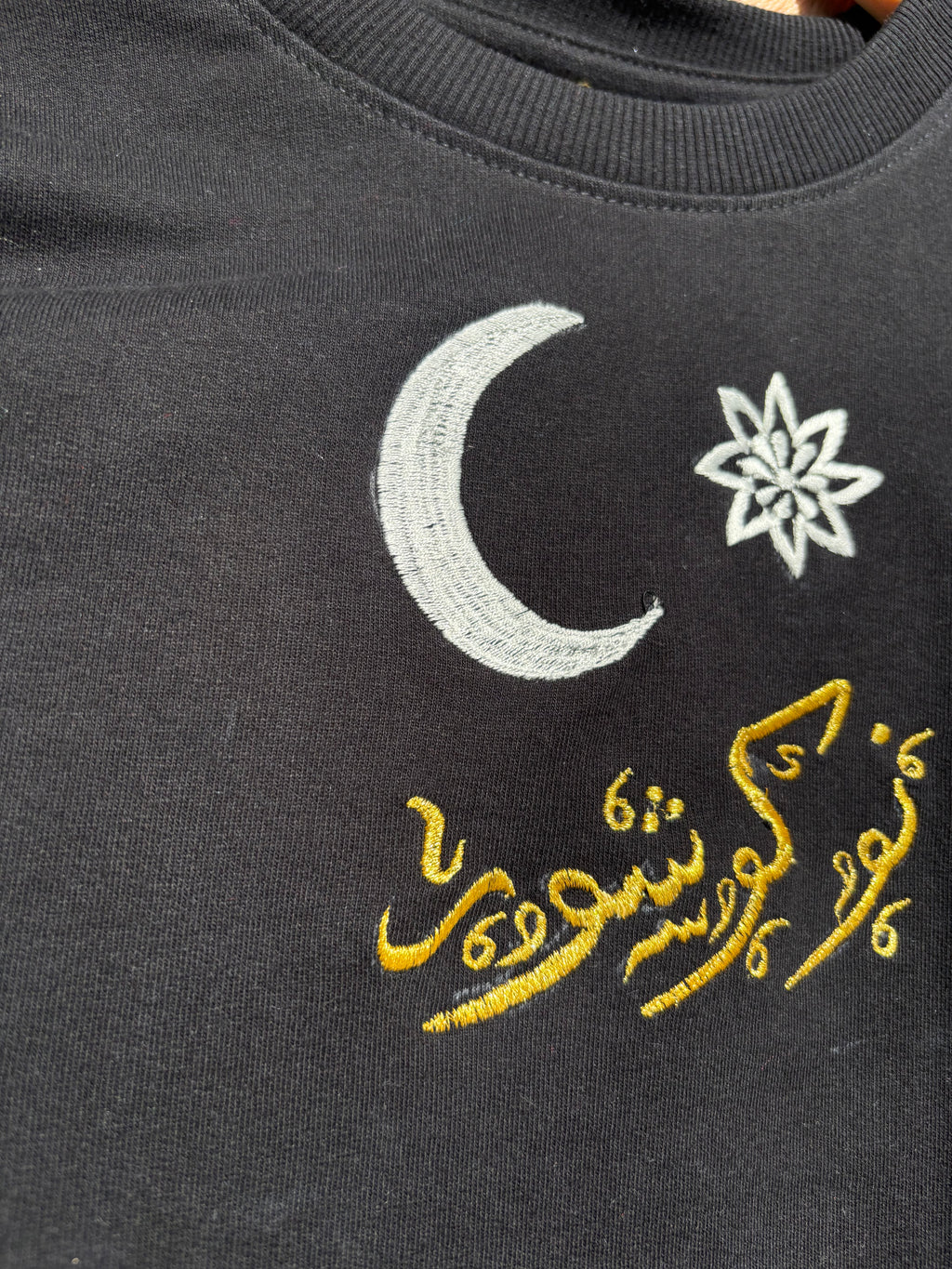 ARABIAN NIGHT INSPIRED SILK THREAD EMBROIDERED BLACK T-SHIRT
