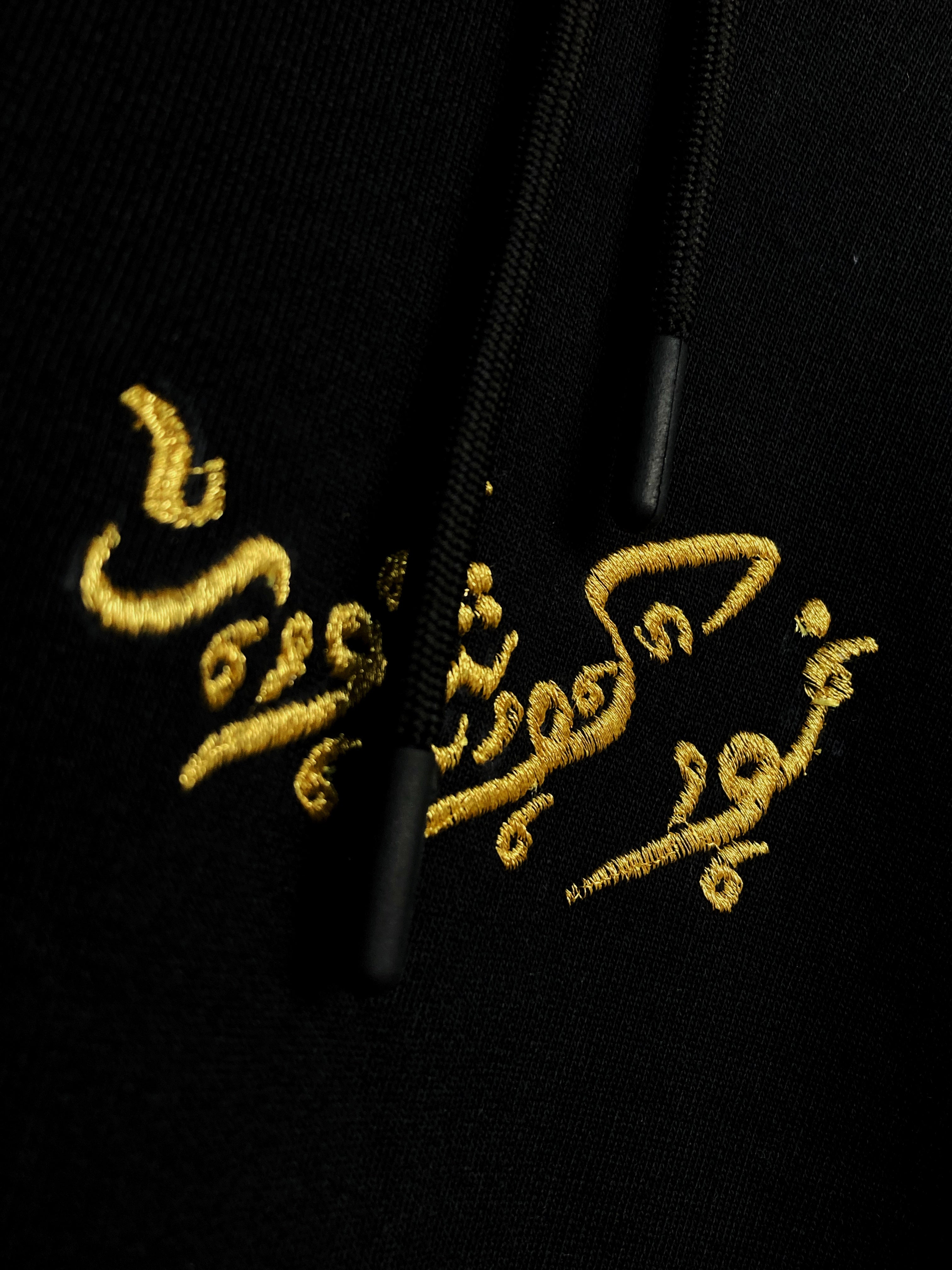 Tribute to Iran Hoodie