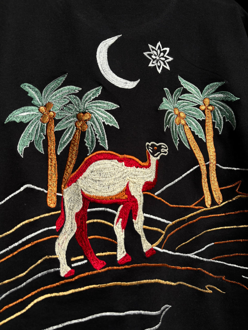 ARABIAN NIGHT INSPIRED SILK THREAD EMBROIDERED BLACK T-SHIRT